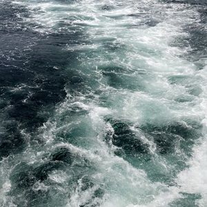 Meet your Posher, Bobby